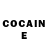 Cocaine Fish Scale Dmitriy Dyachkov