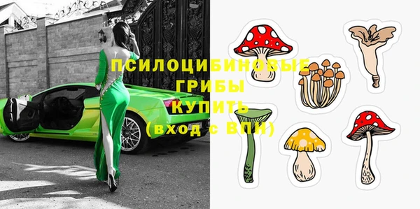 соль ск Мегион