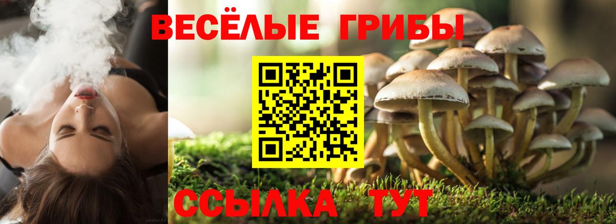 Галлюциногенные грибы прущие грибы Кашира