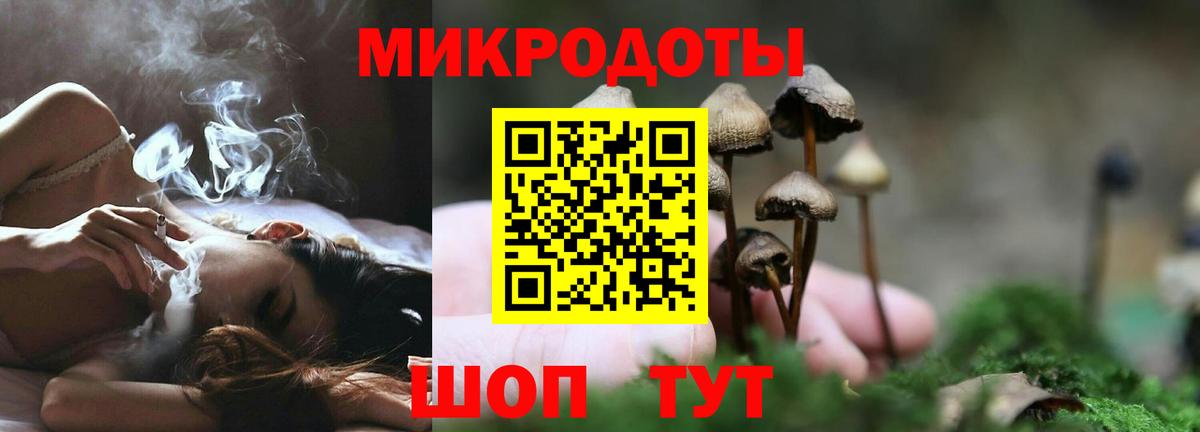 продажа наркотиков  Кашира  Галлюциногенные грибы Cubensis  Галлюциногенные грибы мухоморы 